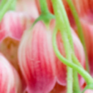 Meet your Posher, Claire